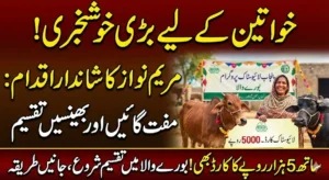 Punjab Livestock Program: 137 Cows and Buffaloes Distributed Among Rural Women in Burewala