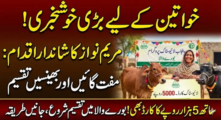 Punjab Livestock Program: 137 Cows and Buffaloes Distributed Among Rural Women in Burewala
